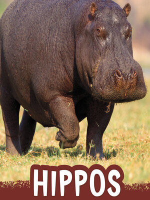 cover image of Hippos